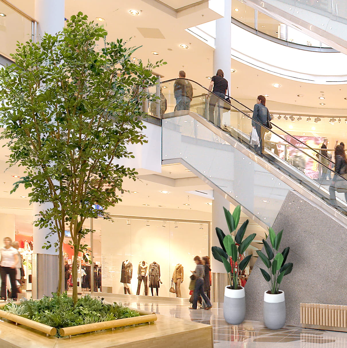 屋内の大型植栽と緑の装飾