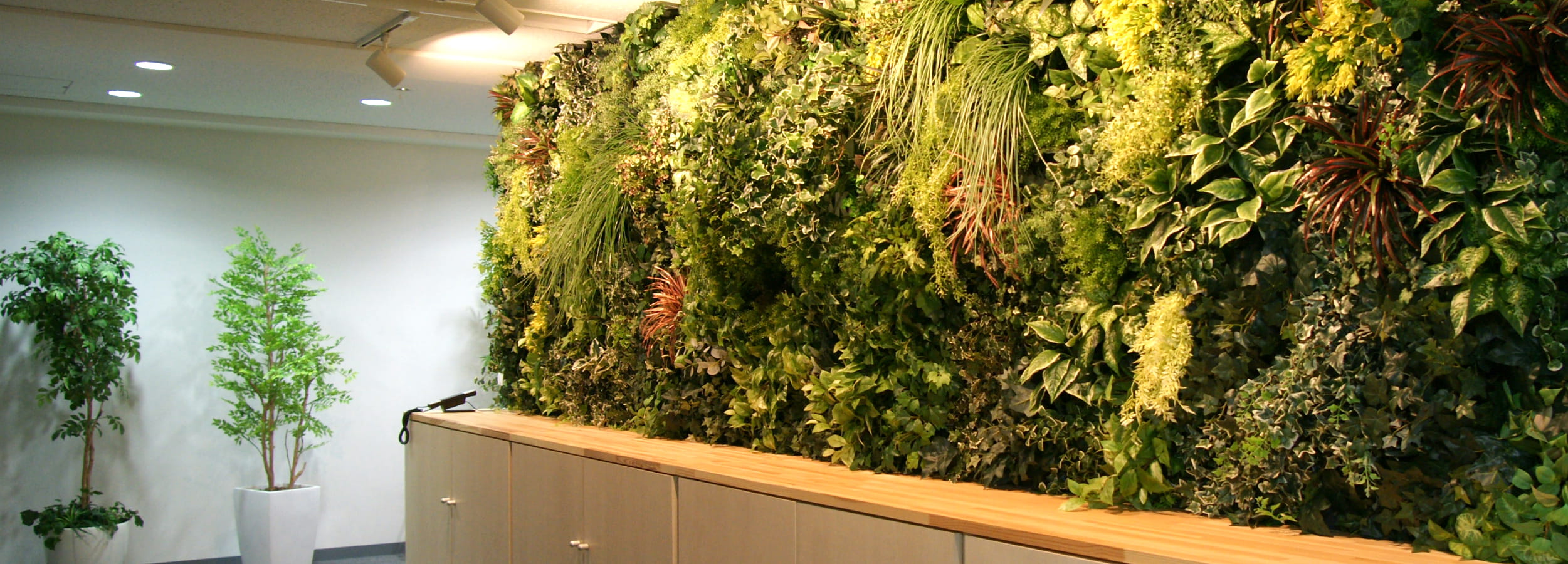 室内の壁一面に緑豊かな観葉植物が配置された様子